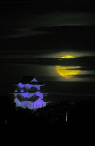 伊賀の月夜