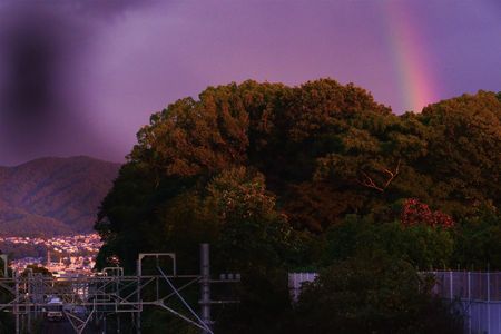 何時もの散歩道　奈良線
