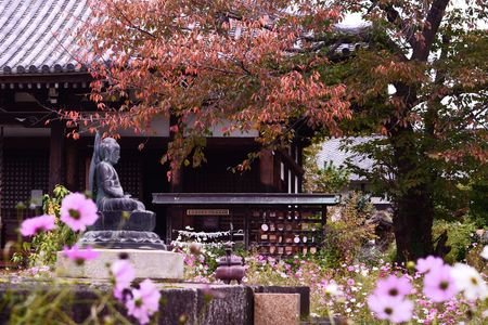 ぶらり散歩　奈良　般若寺