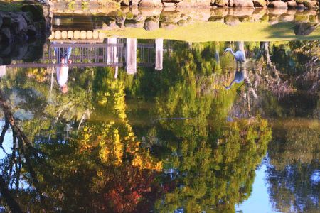 ぶらり散歩　奈良公園