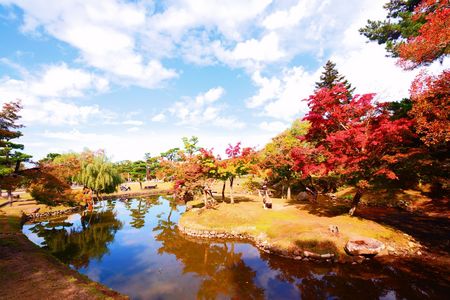 ぶらり散歩　奈良公園