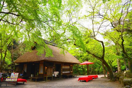 ブラリ散歩　奈良公園 水谷茶屋
