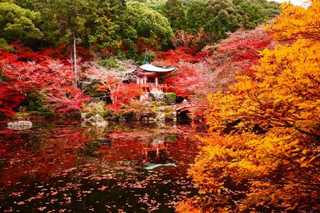 ぶらり散歩　醍醐寺　紅葉　7