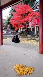 赤と黄のハーモニー