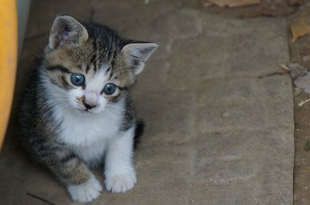 おかえりやす♪