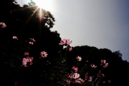 秋の始まりを感じて