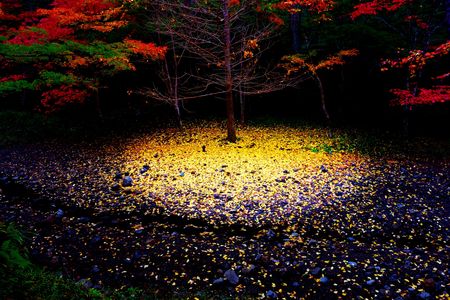 光の集まる場所