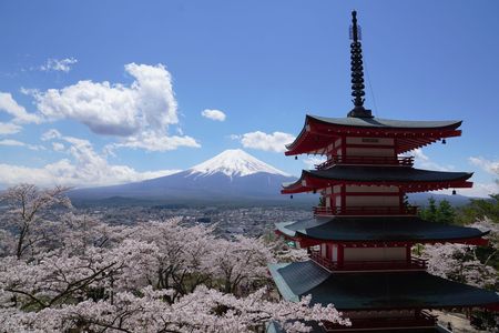 富士山・五重塔・桜