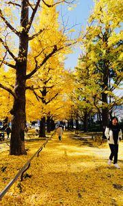 落ち葉を踏みしめて🍂