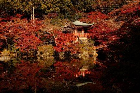 醍醐寺紅葉