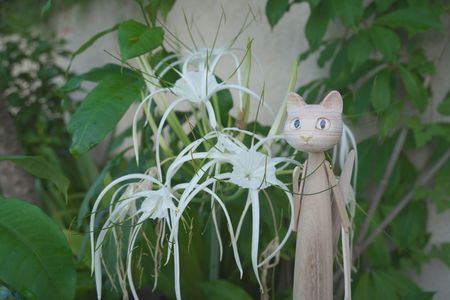 トラベルサイズ コウリ君