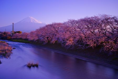 朝陽が差すころ