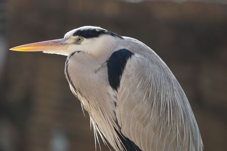 動物園・望遠レンズ力