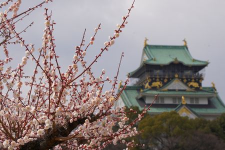 大阪城梅園2