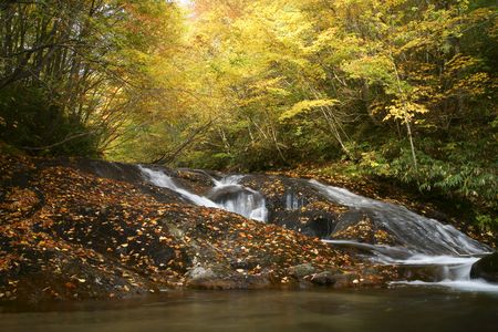 黄葉の渓谷