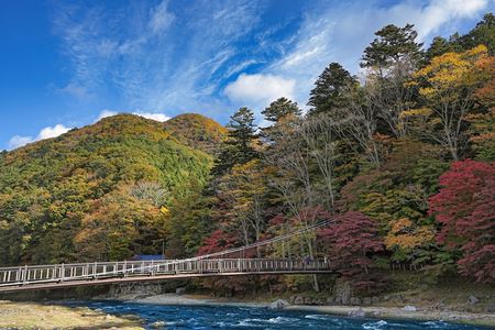 箒川沿い散歩🍂