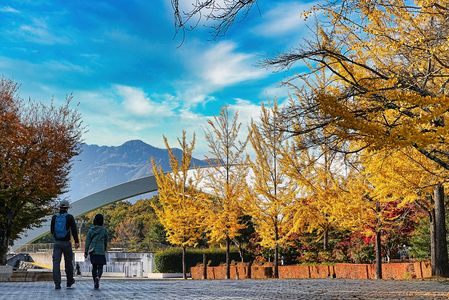 Ⓨellow leaves Ave.