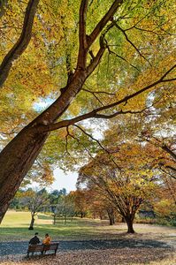 樹林公園の昼下がり🍂