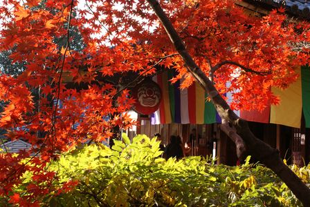 京都のお寺巡り　今熊野観音寺