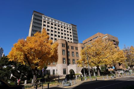 横浜地方裁判所と銀杏