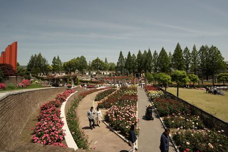 バラ公園