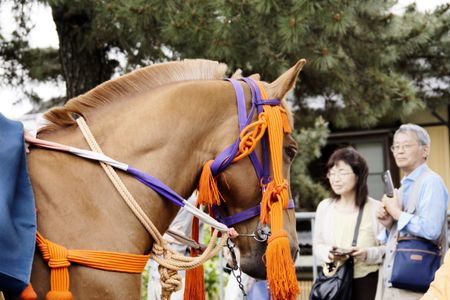 葵祭り