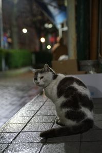 雨宿り