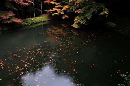 雨の洞光寺・・♪（Ⅱ）