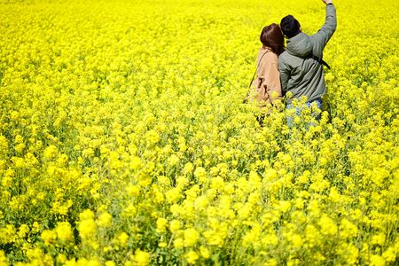 菜の花の咲く頃に