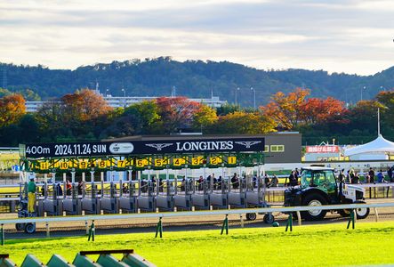 2024 東京競馬場　第44回 ジャパンカップ