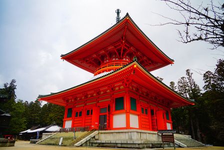 高野山金剛峯寺　壇上伽藍　根本大塔