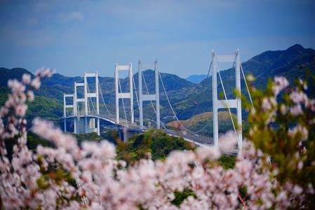 海山城より　しまなみ海道来島海峡大橋を望む