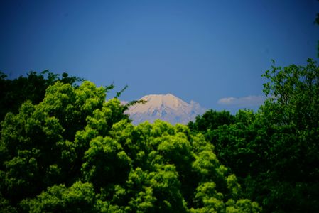 昭和記念公園より望む富士山