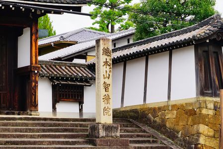 京都散策　總本山　智積院