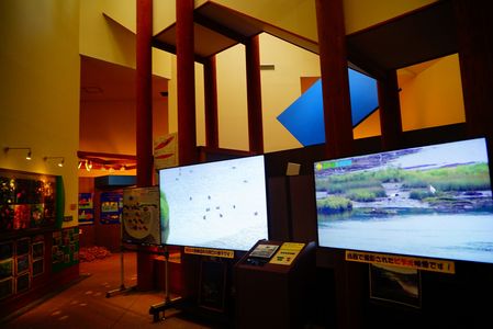 厚岸水鳥観察館　