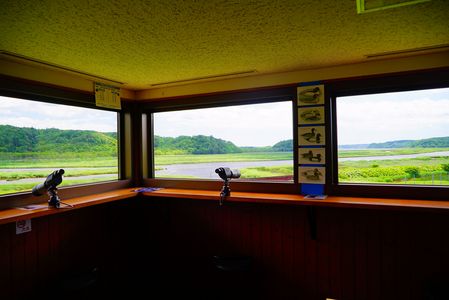 厚岸水鳥観察館　