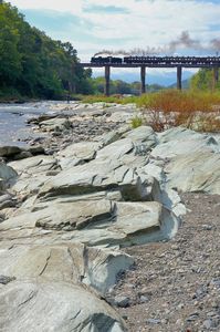 パレオエクスプレス