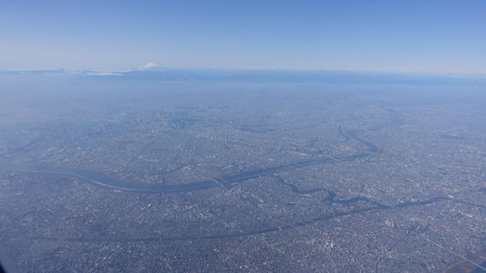 スカイツリーと富士山