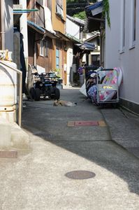 旅の途中にて…