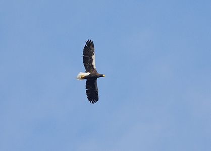 湖上を飛ぶおばあちゃん