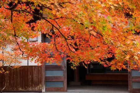【古刹にてⅡ】　色づく季節