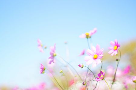 パステルカラー