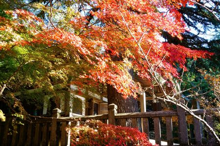 西国の寺で　秋を楽しむ