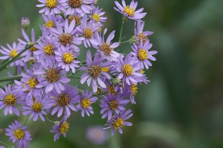 万歩計　３０００歩の世界