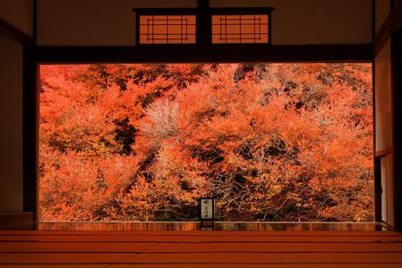 安国寺２０２５