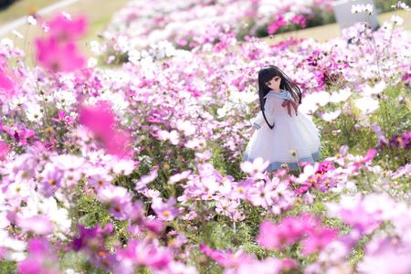 秋、いっぱいです