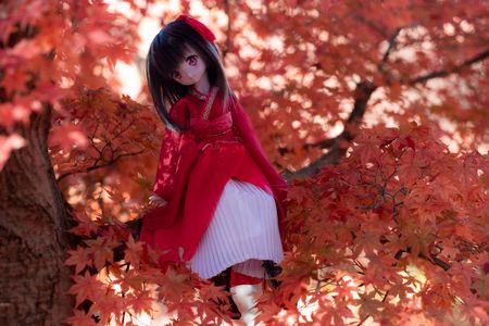 今年も終わりですね。