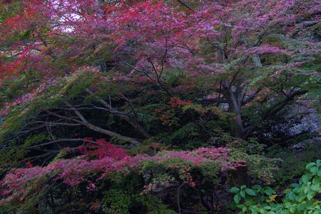 二上山での出会い