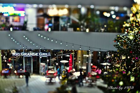 横浜ベイクォーター　クリスマスツリー