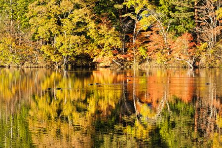 おもわず　「合掌」なんちゃって